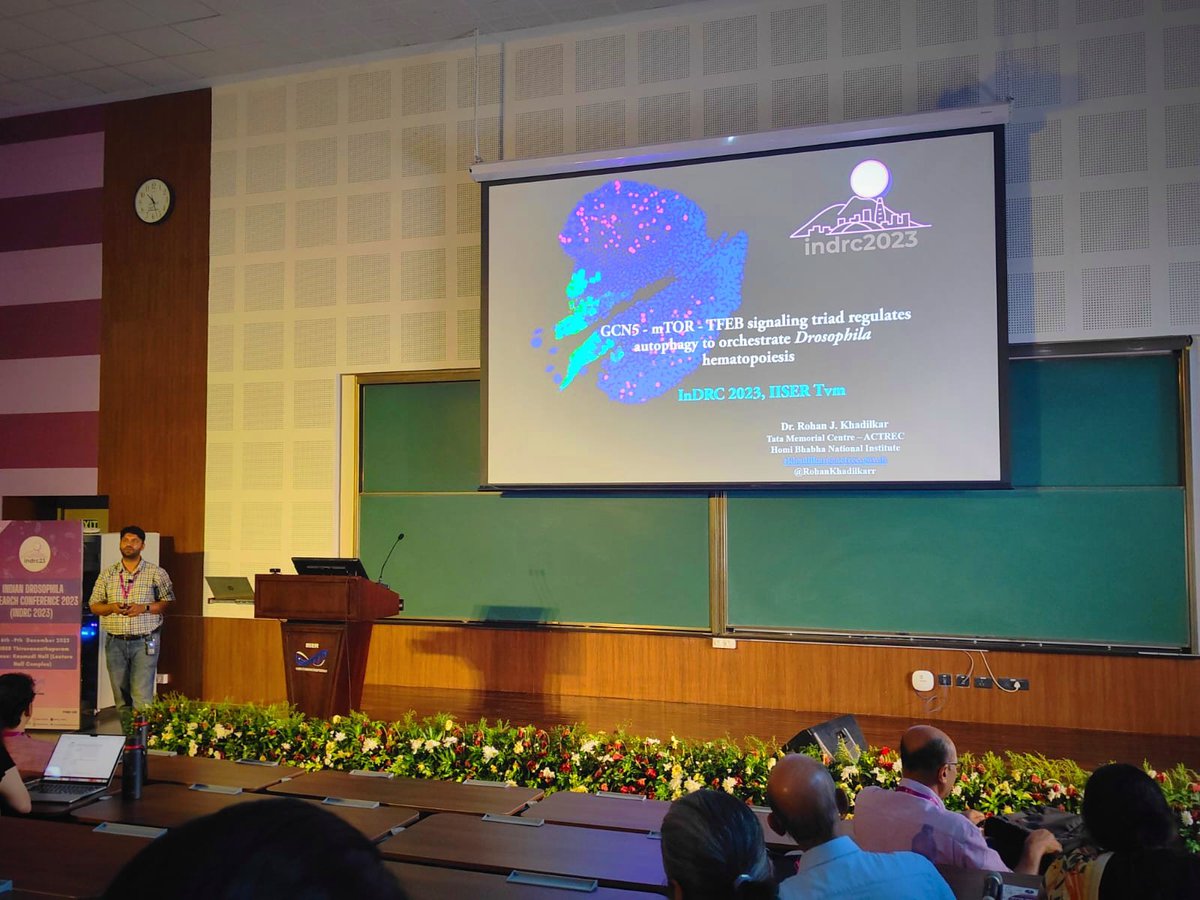 Presented our story on the role of Gcn5 and autophagy in regulating hematopoiesis! Had a fun time interacting with students. Thanks to the organizers for giving me the opportunity @iFly_InDRC #InDRC2023 #conference #Drosophila @biopatrika @VoicesofIndAcad