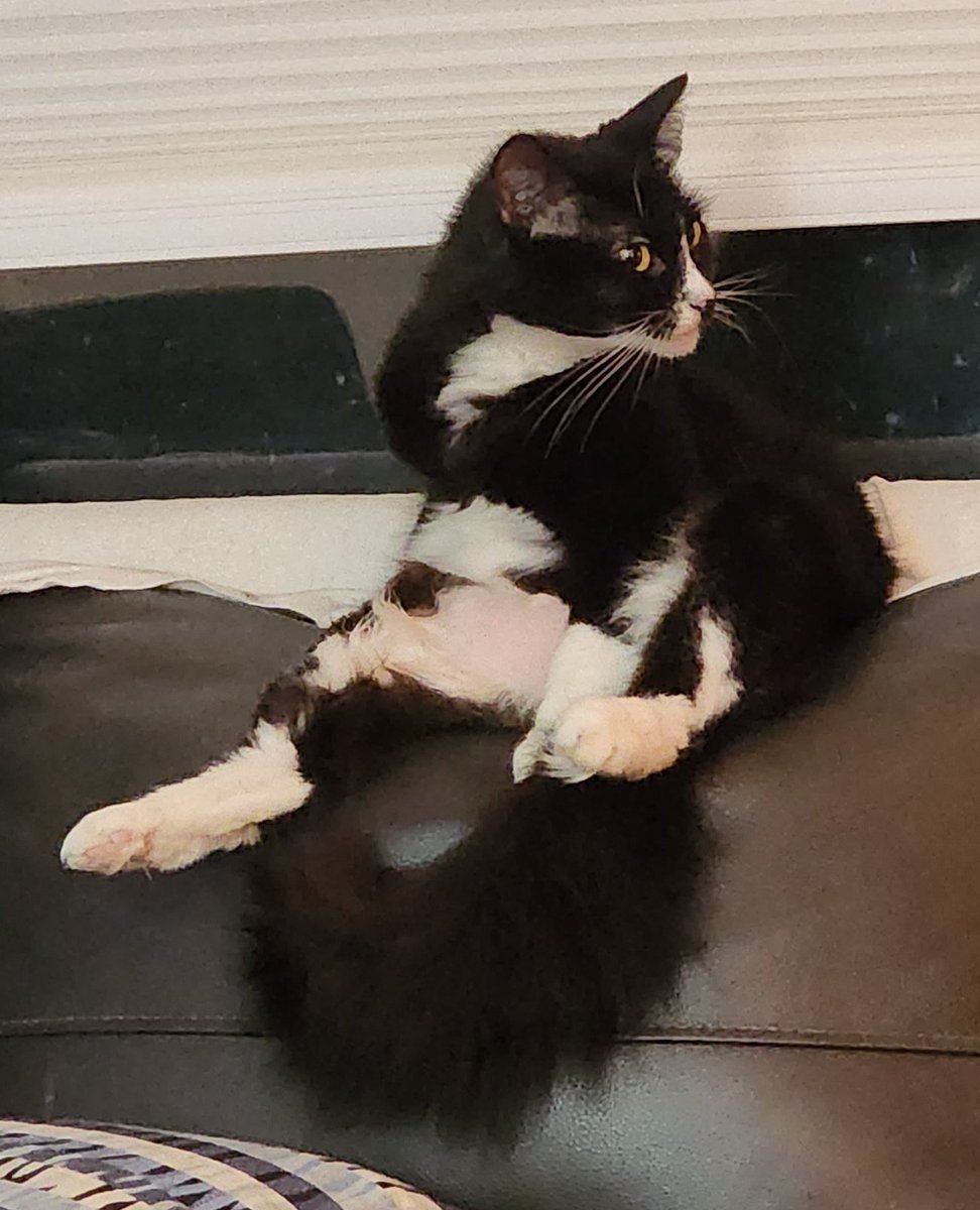 Kid Squiggy McGhee tweet media