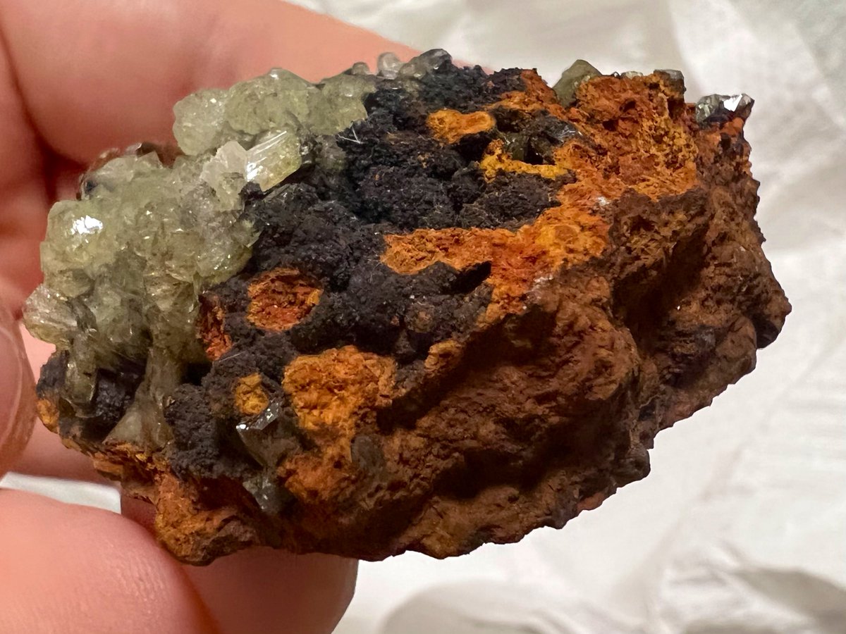 Gipno124's tweet image. 褐鉄鉱の赤と黒のコントラストが良いですねぇ…マグマの様な母岩から湧き出すアダム鉱…良いですねぇ…アダム鉱は蛍光鉱物なのでUVライトで照らす楽しみもあります…最高か #東京ミネラルショー  #池袋 #Adamite  @Supernova223