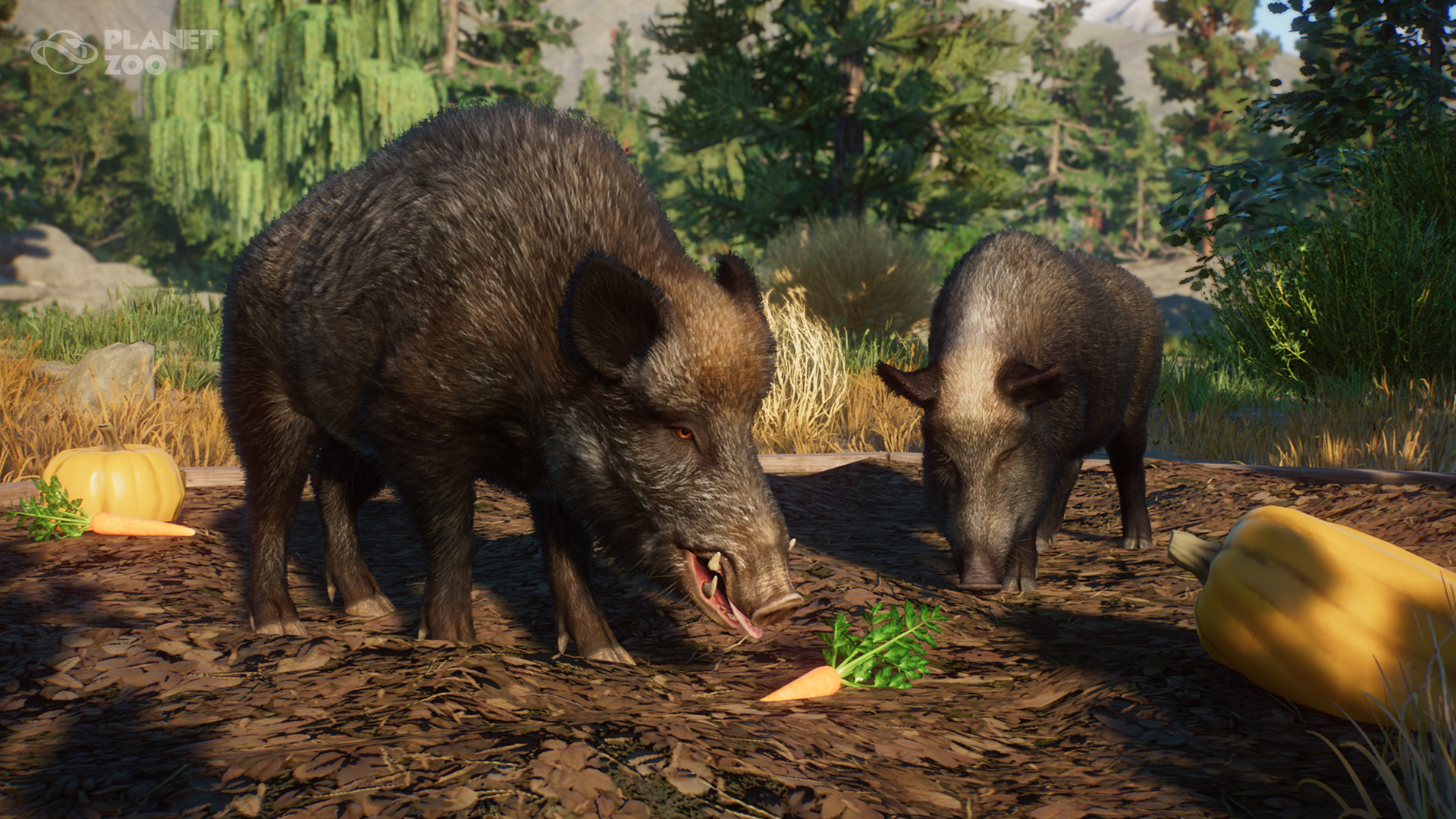 When Will PLANET ZOO CONSOLE Be Released? 