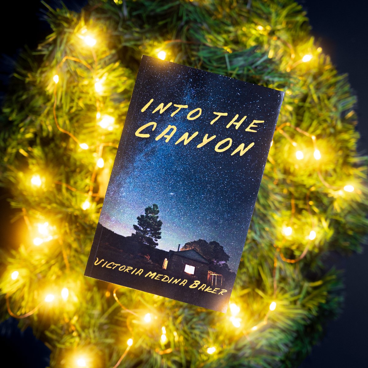 Do you have any book lovers in your life? You can purchase a copy of Into The Canyon for them and have it in time for Christmas! Buy now through the link in my bio, Amazon, or Barnes and Noble! #IntoTheCanyon #KammerFamilyTrilogy #VictoriaBakerAuthor #EnSpireLife #FictionNovel