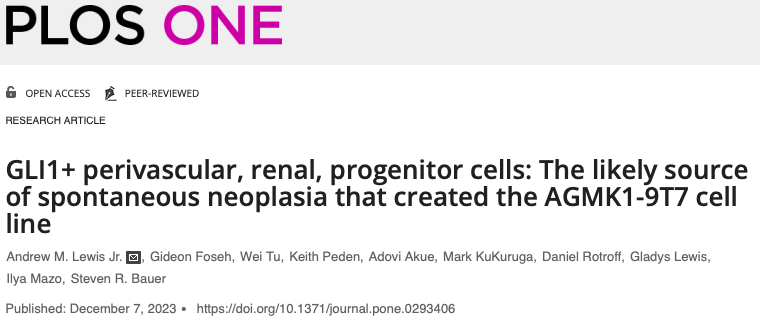 Andrew M. Lewis, Jr & Gladys S. Lewis on #PLOSONE

GLI1+ perivascular, renal, progenitor cells: The likely source of spontaneous #neoplasia that created the AGMK1-9T7 cell line

dx.plos.org/10.1371/journa…

#GLI1 #progenitorcells #biomarker #oncology #tumorigenicity #cancercells