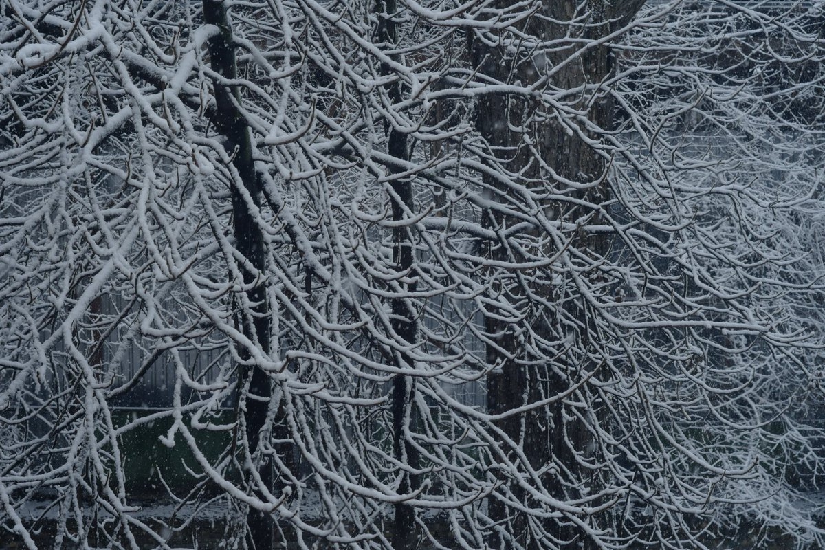 officesevenn's tweet image. 