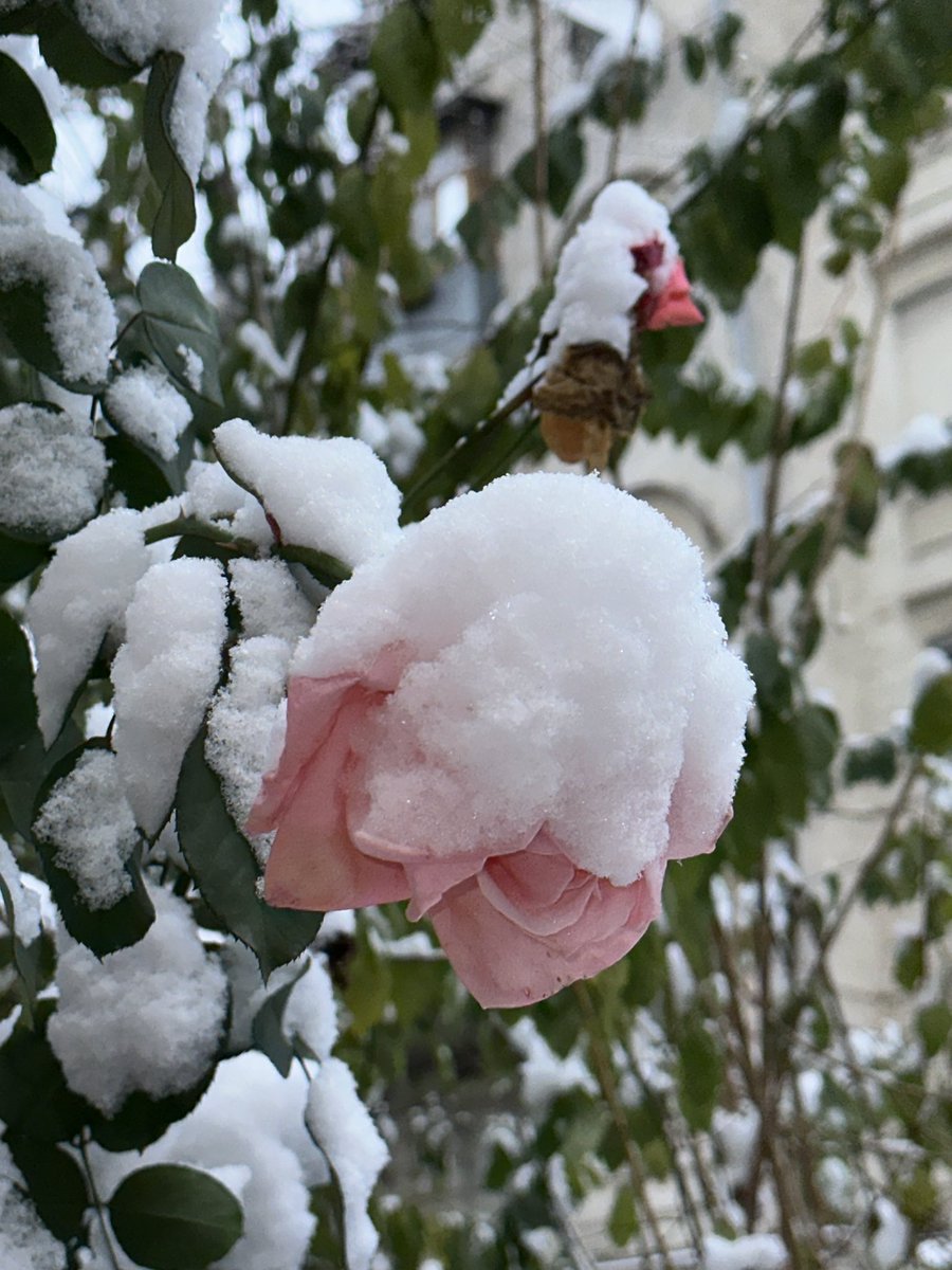 officesevenn's tweet image. 