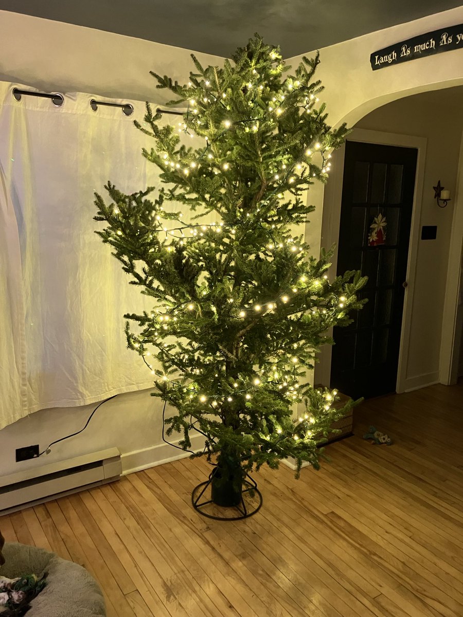 WilburBasset's tweet image. So…that Dad lost his job a week ago and he’s been working on thinning out our woods. Instead of buying a Chrissymas Tree this year Mama and Dad decided to use the tops of one of the trees he cut down. It might be the most misshapen tree ever but it’s still festive.