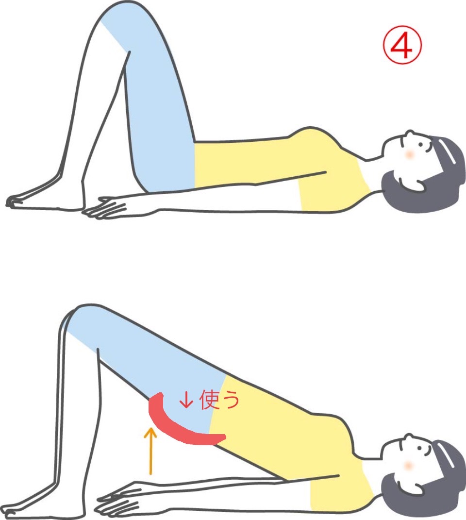 nobu_dietcoach's tweet photo. 「痩せ体質になりたいです」というので、

①大腰筋ストレッチ
②腰のストレッチ
③下腹部の運動
④お尻の運動

あとは普段からお腹を軽く締めて、まっすぐに立つように気をつけてね。と、教えました。

そしたら40代介護士さん、「 https://t.co/zs09IAN1JX