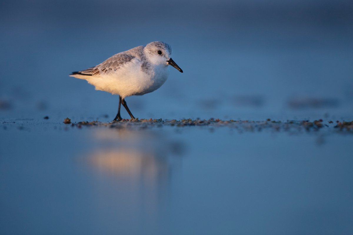 Daniel Trim tweet media