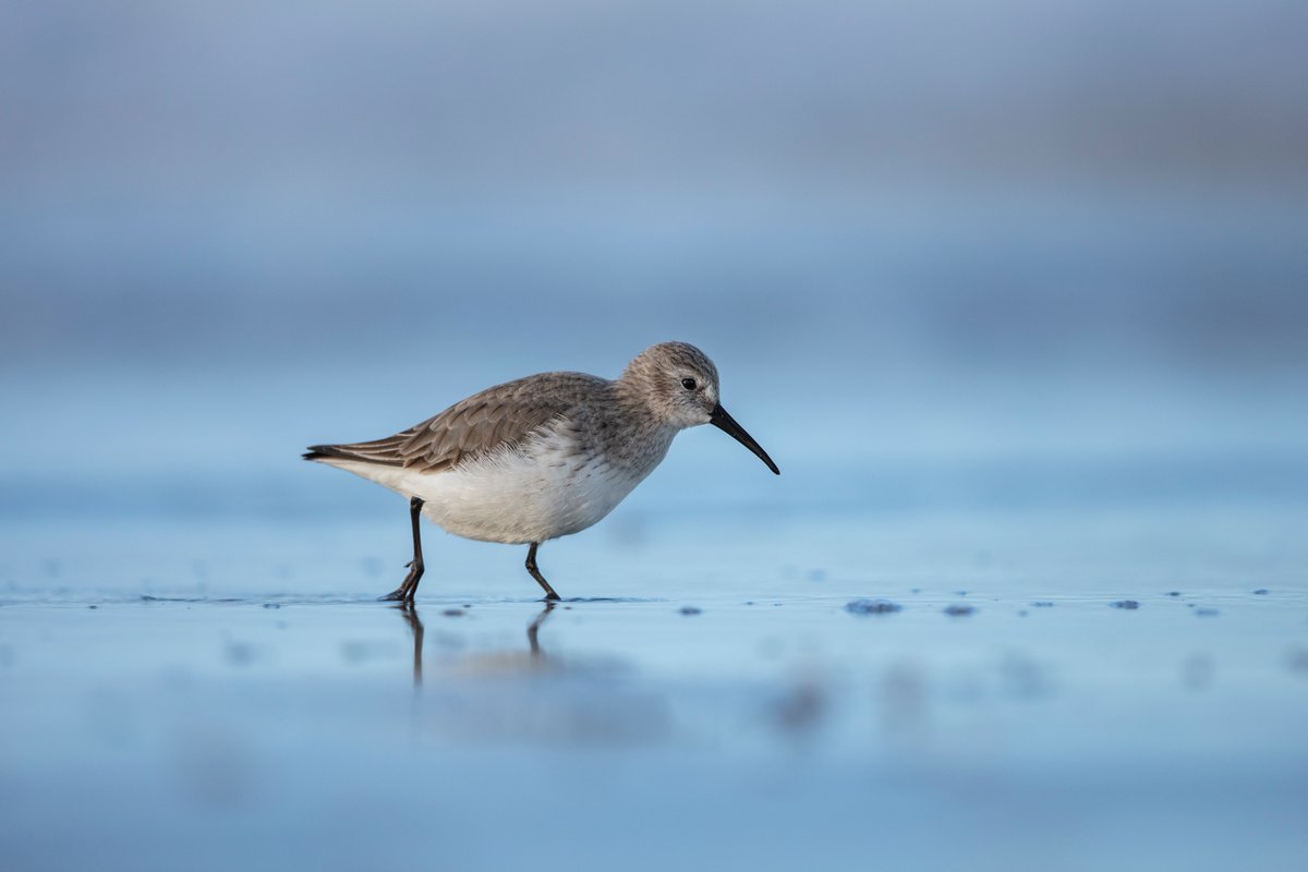 Daniel Trim tweet media