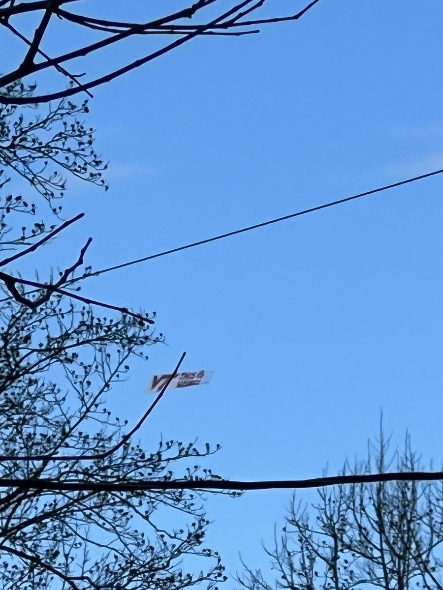 Brandon Lloyd tweet media