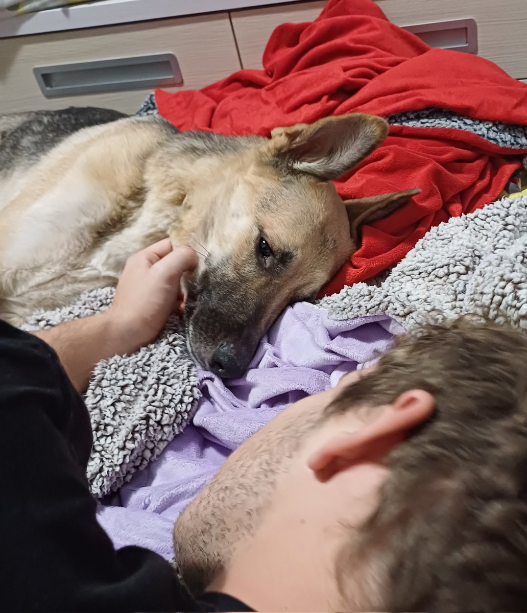 MarDelOceano_'s tweet photo. O la perra me roba al novio, o el novio me roba a la perra 🥹 https://t.co/UoDQVH1ORH