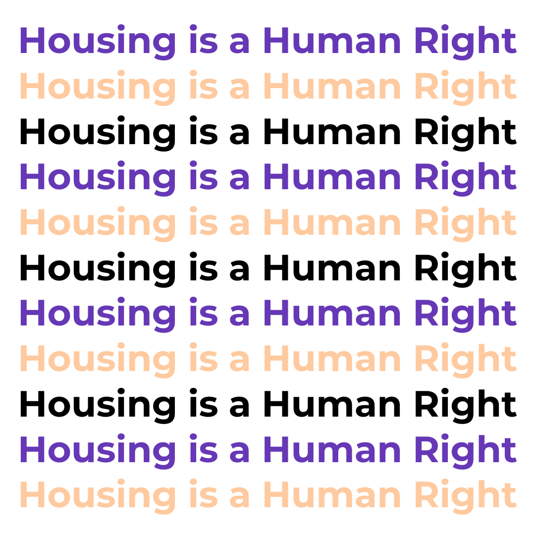 Today is International Human Rights Day. Housing is a Human Right. Every human being has the right to a safe, affordable home. Every human being has the right to a home free from violence.