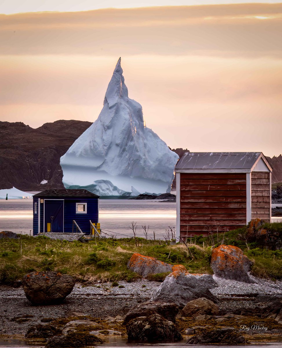 St. Lunaire-Griquet, Newfoundland. #newfoundland #Canada #explorenl #explorecanada