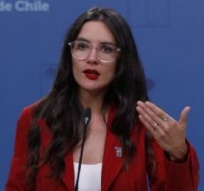 fachininja's tweet photo. Ministra Vallejo: "El incendio en #Limache lo heredamos del Gobierno anterior. " https://t.co/aK82zht8sF