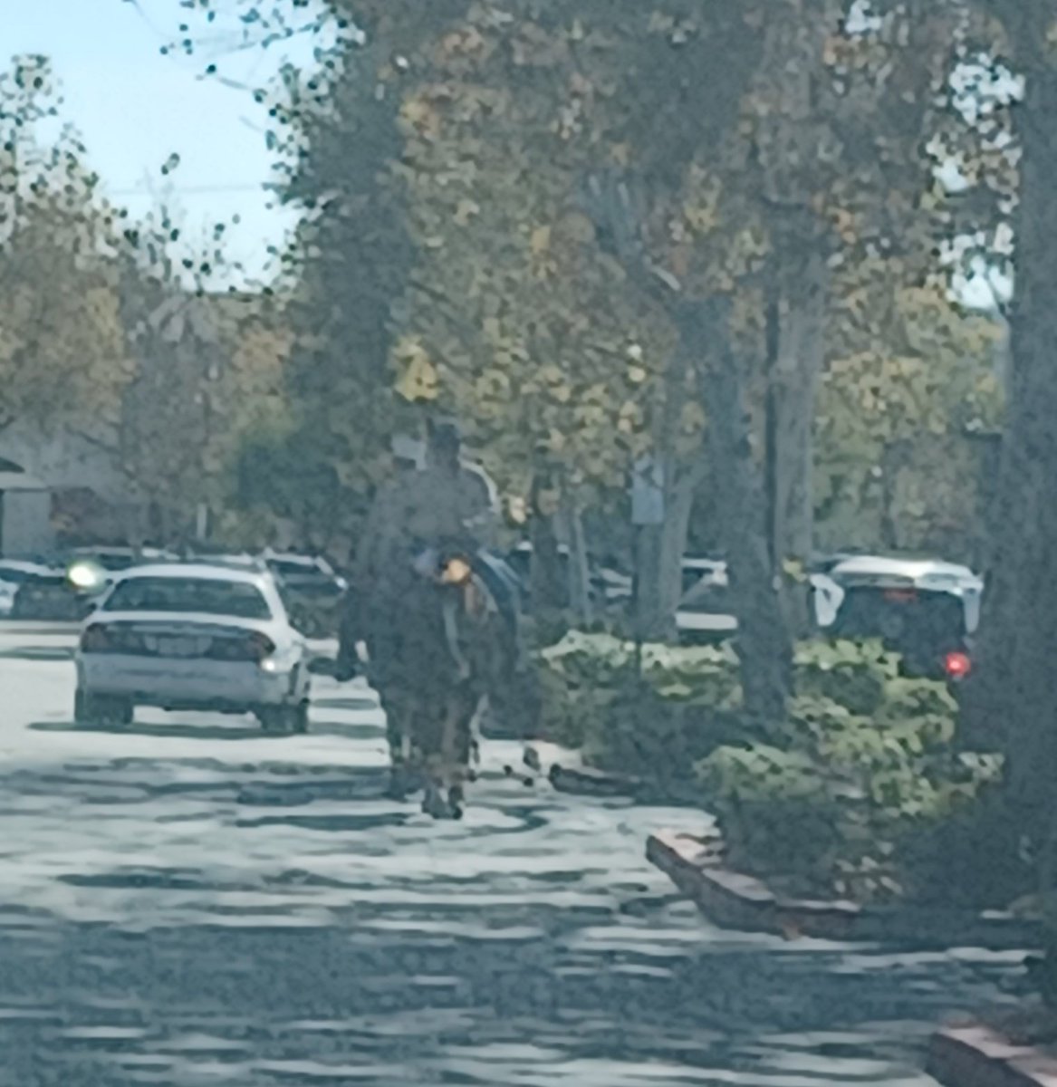 nowthethingis's tweet image. You can&apos;t see it too well but there were 3 people riding horses in the Target parking lot today. #whatthewhat