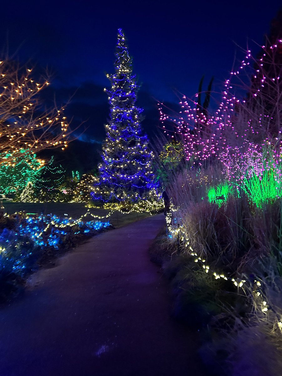FakheranSima's tweet photo. #VanDusen Festival of Lights💫✨🌟
#Christmas time is here!🎄❄️ https://t.co/WG5GAfo2MH