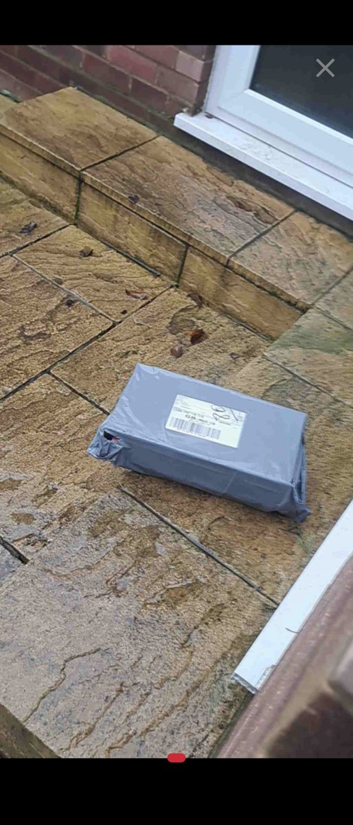 Loofyllis tweet media