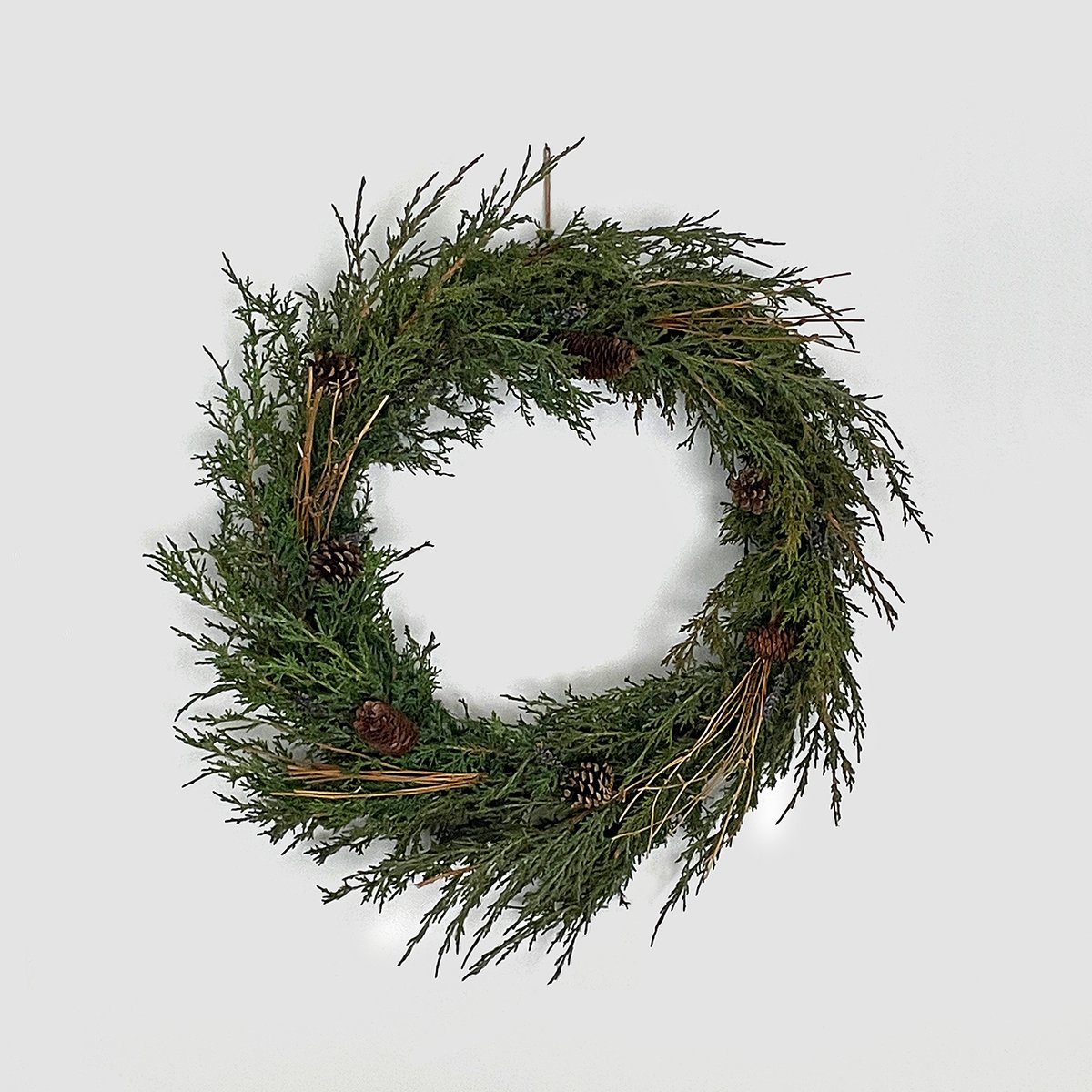 tinytrash_can's tweet photo. I’m very happy with how my wreath turned out though my hands are still itching from the prickly juniper branches 😜 When I make next year’s wreath, I’ll look for balsam, cedar or pine branches 🌲

#diywreath #naturalwreath #tinytrashcan https://t.co/WBRQdeTMSi