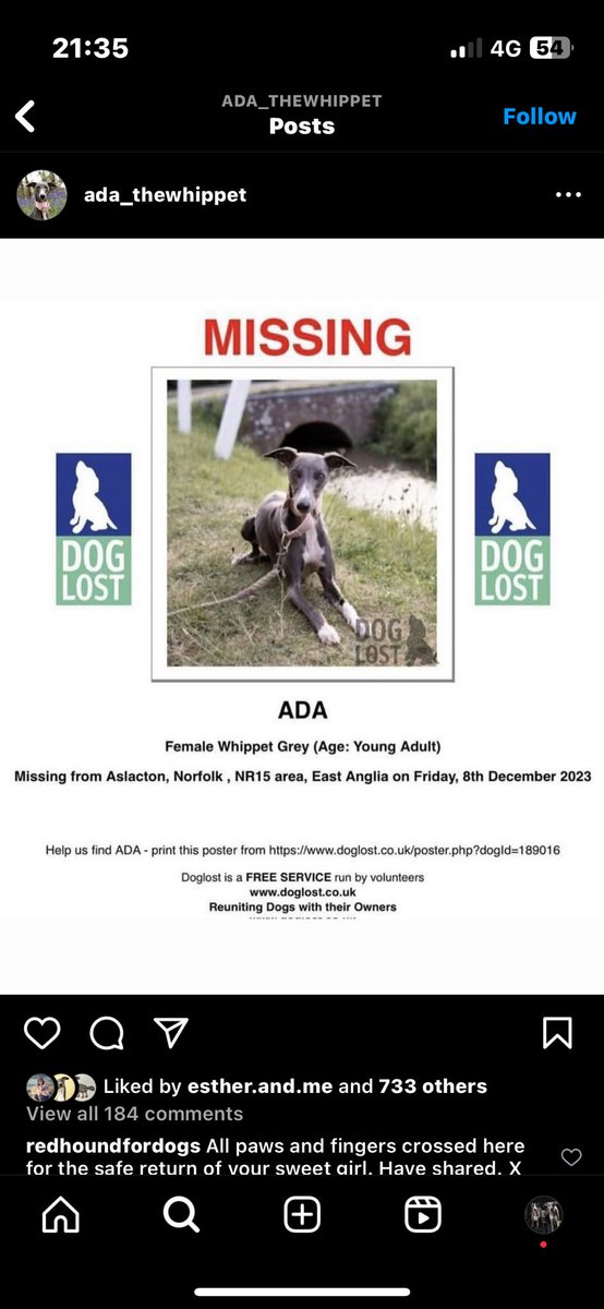 SurreyWhippets's tweet photo. Ada the #whippet is still missing from #Aslacton near #Norwich in #Norfolk Please keep sharing. #houndsoftwitter #houndsofx #findada #lostdog #missingdog
Her owner’s Instagram profile is https://t.co/zLo0XW27Fp https://t.co/u0PbypT5XQ