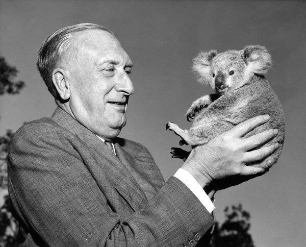 We'll be tackling Walton’s comic opera, The Bear (described as an "Extravaganza in One Act"), at our next course on Sunday 11th February. 
There's still room for a trumpet, a trombone, a pianist, a percussionist and strings. 
Apply here 👉 rehearsal-orchestra.org/courses