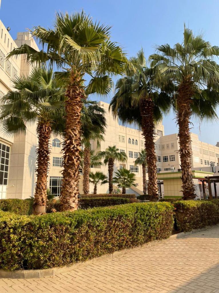 وكالة الجامعة لتنمية الأعمال والشراكة المجتمعية tweet media