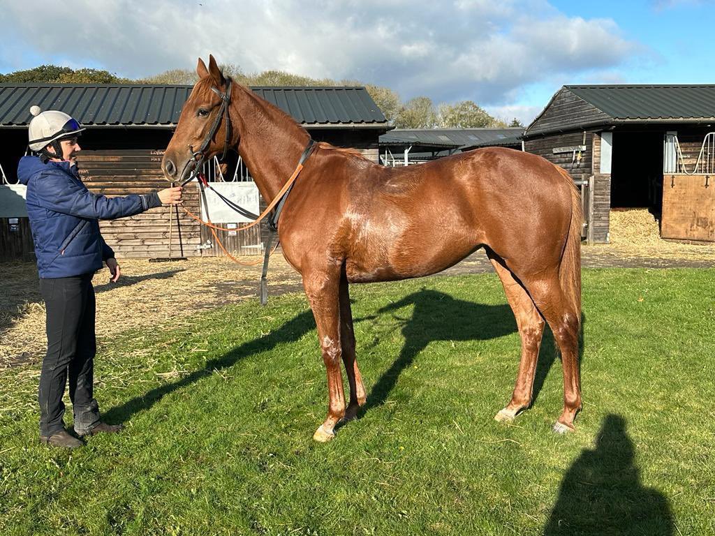 MMM Racing - every new horse needs a new gilet @Tumbattle - Merry Christmas to all and hoping 2024 brings health, happiness, laughter and fast horses