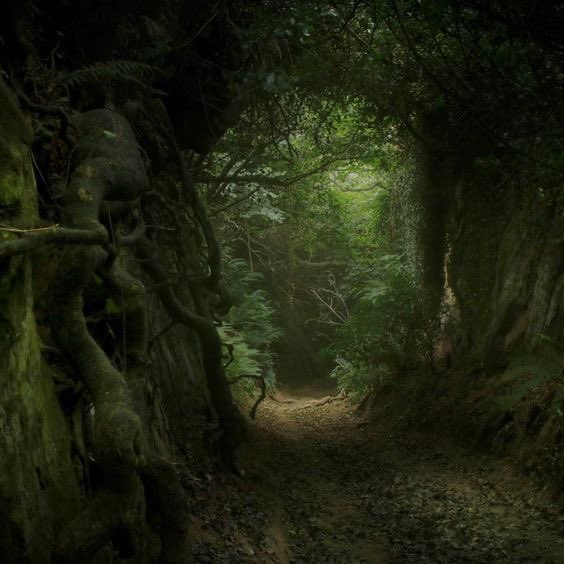 greendreamvibes's tweet photo. Mystical. https://t.co/3hSBg4J99b