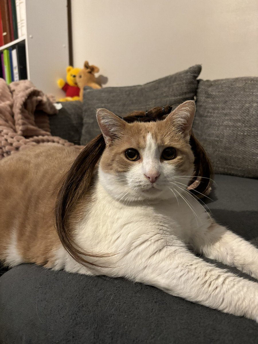 🌟 Bandit ♂🐾🍉💫 tweet media