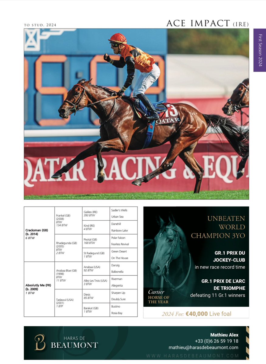 Everyone likes to see a champion and Ace Impact drew a very good crowd <a href="/HarasBeaumont/">Haras de Beaumont</a> this morning. The Prix du Jockey Club winner will be certain to have a really busy covering season.