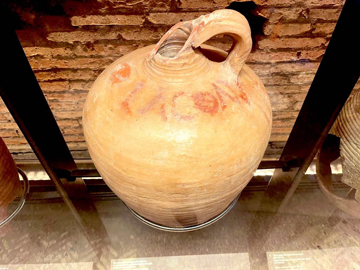 Saturday night in December? Time to crack out the old Algerian wine 🍷

275-380 C.E
The red inscription relates to region of production.

📸Us @ Domus Tiberiana

#classicstwitter #classicsteacher #ancientmedtwitter #sensoryhistory #classicalstudies #ancientrome #archaeology #rome