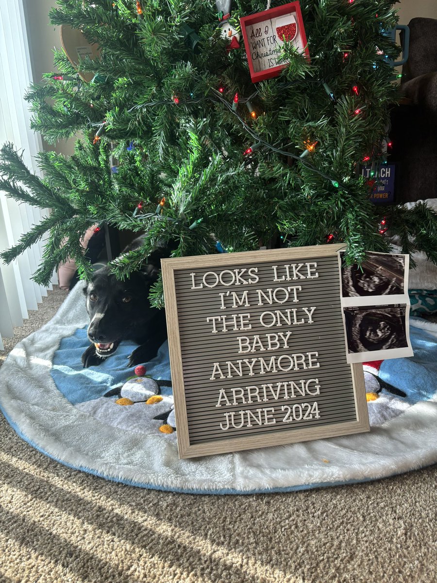 Jenni_Rose95's tweet photo. 💚❤️🎄 https://t.co/d1OTsm3BW3