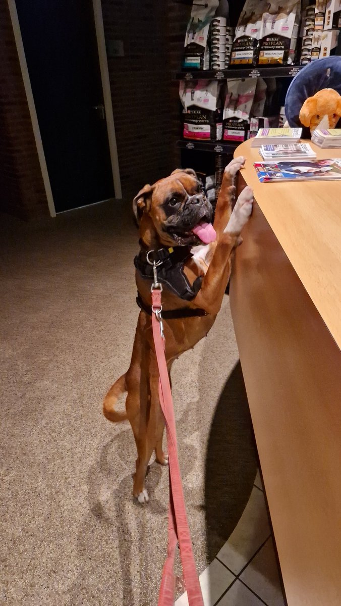 Mariska Petstra tweet media