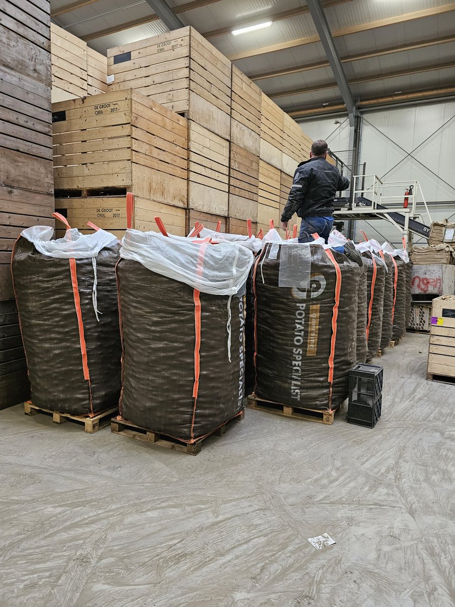 GeersingPotato's tweet photo. Volle bak #Cammeo opzakken in bigbags @ATdeGroot voor Yapro, Israel #livegoeson https://t.co/7whzYtXU3Z