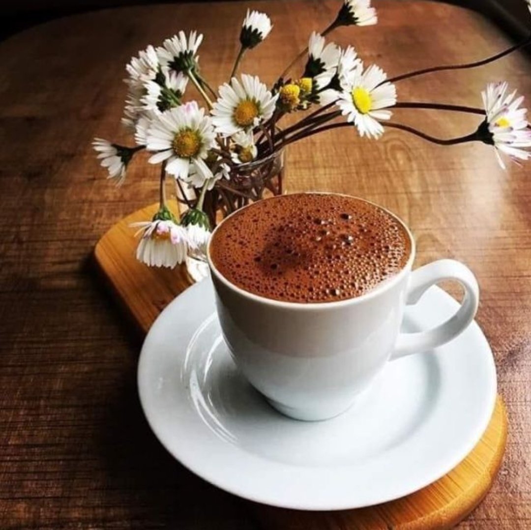 Dil__Ru__Ba's tweet photo. “#Zaman ellerimin arasından #kayıp giderken
Benim #hüzne ayıracak zamanım yok
#Siyah yerine maviyi
Hüzün yerine #sevinci
#Toprak yerine çiçeği
Nefret yerine #sevgiyi seçiyorum.
#CUMARTESİ ✨
#iyiakşamlar ☕🌼 https://t.co/guh6TNlL20