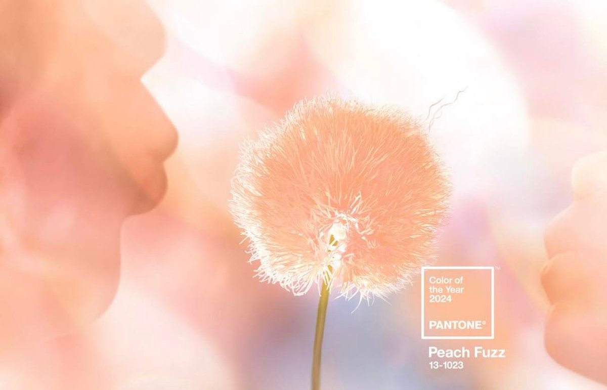 therikeinc's tweet photo. 🍑 Get ready to embrace the sweet and soft vibes of 2024 with the Color of the Year - PEACH FUZZ! 🍑 This delightful hue is all about warmth, comfort, and positivity.  Peach Fuzz is here to make your year as peachy as can be! 🌟✨ #ColorOfTheYear #PeachFuzz #2024Trends https://t.co/J9luhaknNb