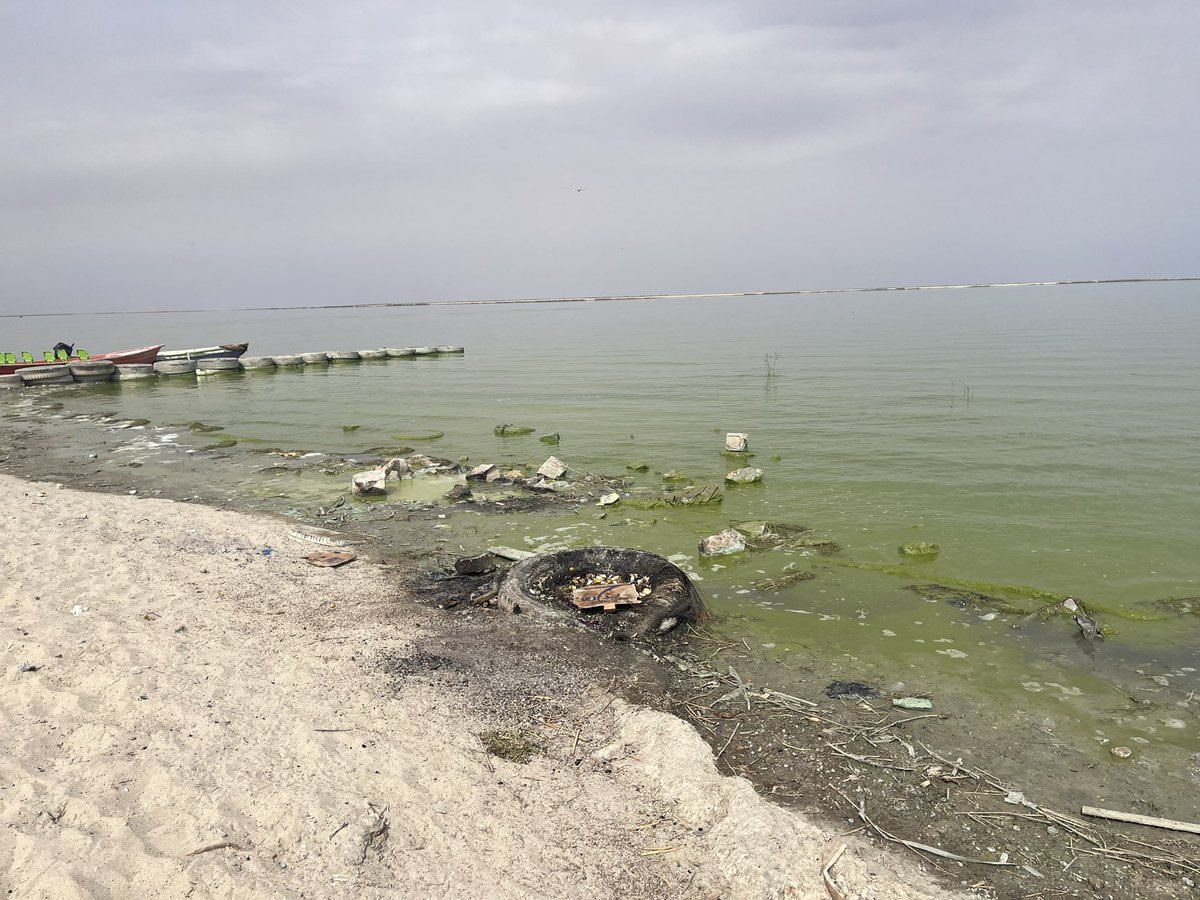 Ensuite, il sera tant de parler de la pollution de cette eau alors que l’Irak n’en a déjà plus assez. Là aussi, l’impact est terrible sur la santé des Irakiens et la biodiversité mésopotamienne à la végétation jadis luxuriante. Ce sera à retrouver sur <a href="/franceinter/">France Inter</a> et <a href="/LaCroix/">La Croix</a> !