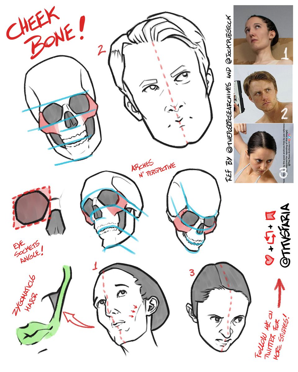 Whatsup, guys?! Sorry for the lack of studies lately! I'm taking a time to plan some new stuff 4 ya! Im also working on a comm, so... lot of things going on.

Here's some head studies I did a while ago, for those who didnt saw it! Hope u like it 🫀

refs by <a href="/theposearchives/">The Pose Archives ⚔️</a>