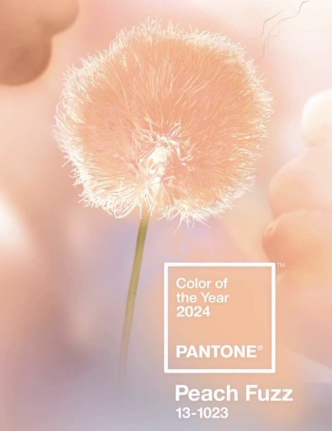 pantone объявили цвет 2024 года, под названием peach fuzz. 

а давайте просто признаем что этот год будет цветом hyyh, pt.2.