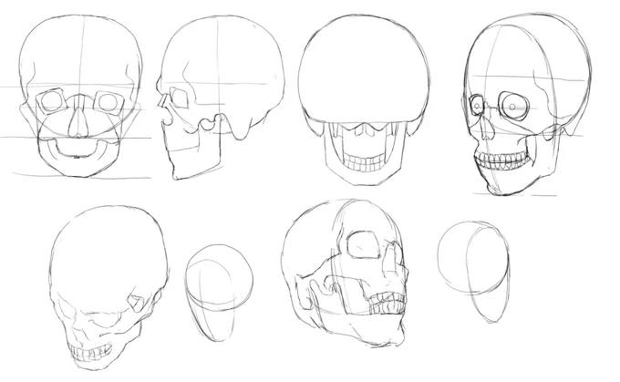 第4回【ソッカの美術解剖学ノート】勉強会12月9日頭蓋骨描いて理解を深めた!いろんな角度から描ければいいのだけど練習あるのみだなぁ…#お絵描き道場 