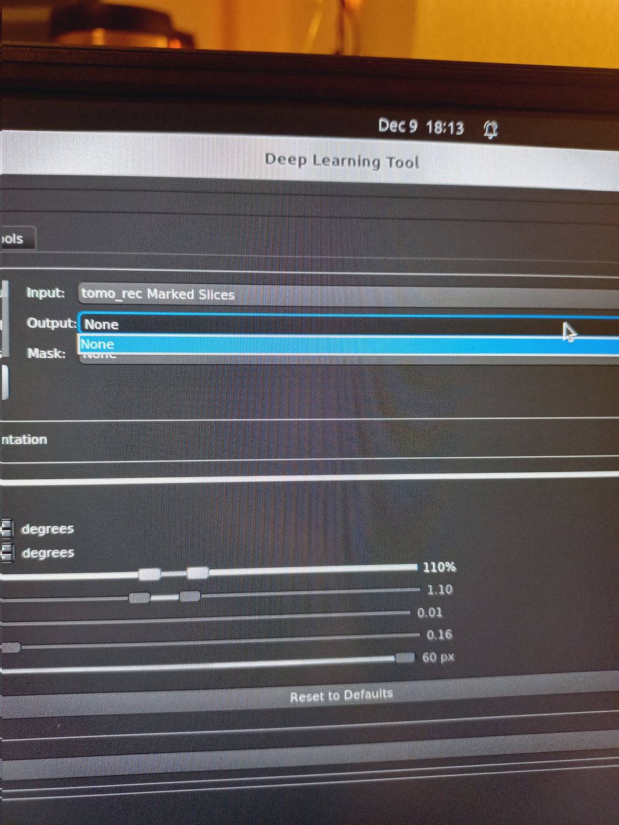 Liya Mukhamedova tweet media