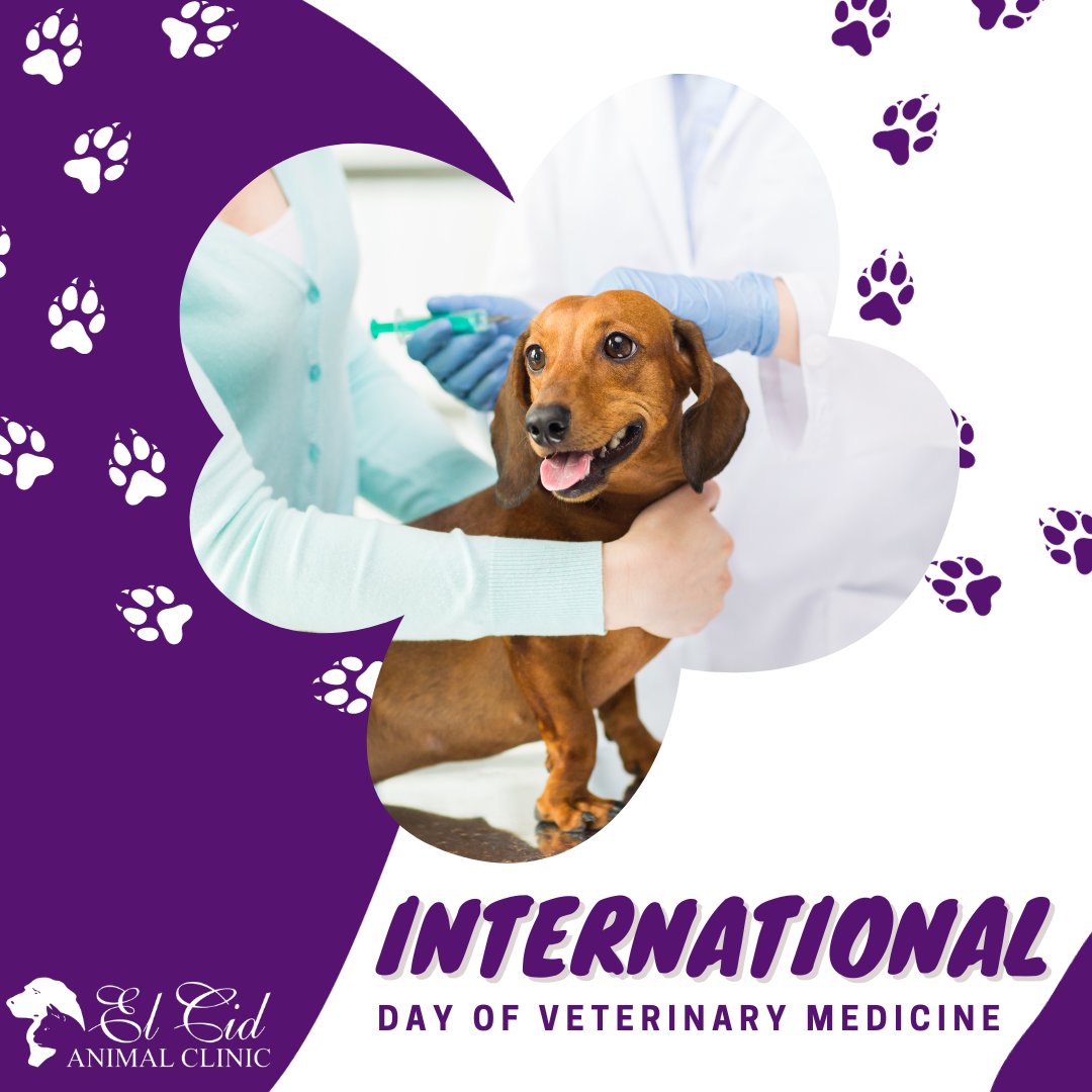 🐾👩‍⚕️ Happy International Day of Veterinary Medicine! 🌍 Today, let's salute the dedication and compassion of veterinary professionals worldwide.  ❤️🐶🐱 

 🌐 elcidanimalclinic.com

#ElCidAnimalClinic #InternationDayOfVeterinaryMedicine #VetAppreciation #AnimalHeroes