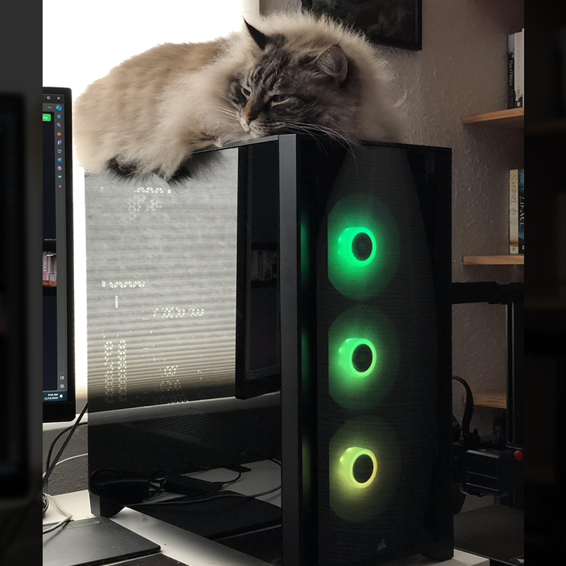 CorsairLatam's tweet photo. Para nosotros, nuestra PC, para ellos elegante torre para dormir. 😂. ¿A quién más le pasa?
#corsair #catsair #pc https://t.co/Br4wbCIIfS