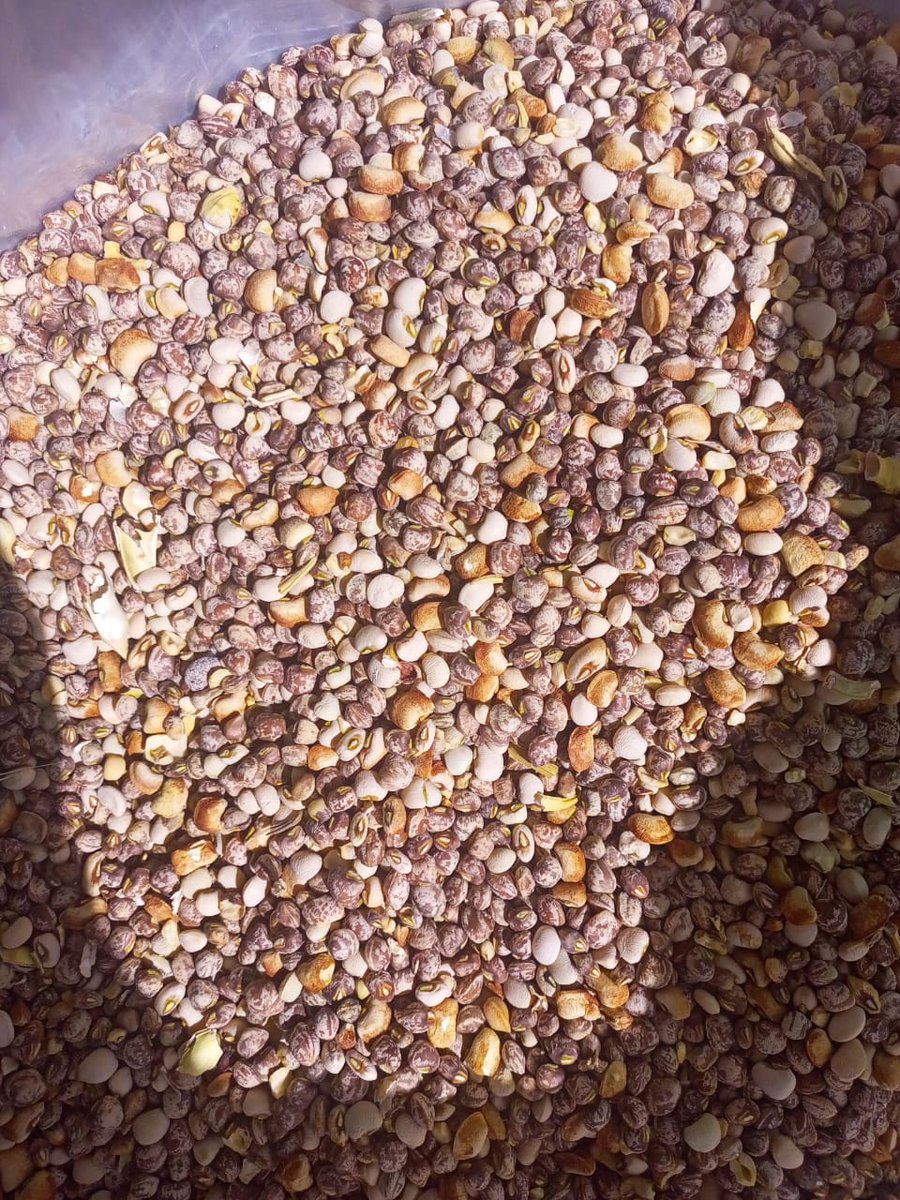 Musa Dawa tweet media