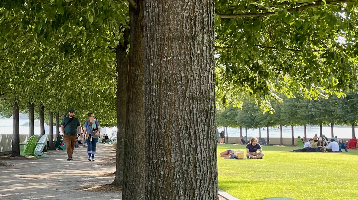 RI_Daily's tweet photo. Updated: Roosevelt Island’s Free Historic Sites, 2023 https://t.co/d9Of9ONpka https://t.co/EWisjsEahm