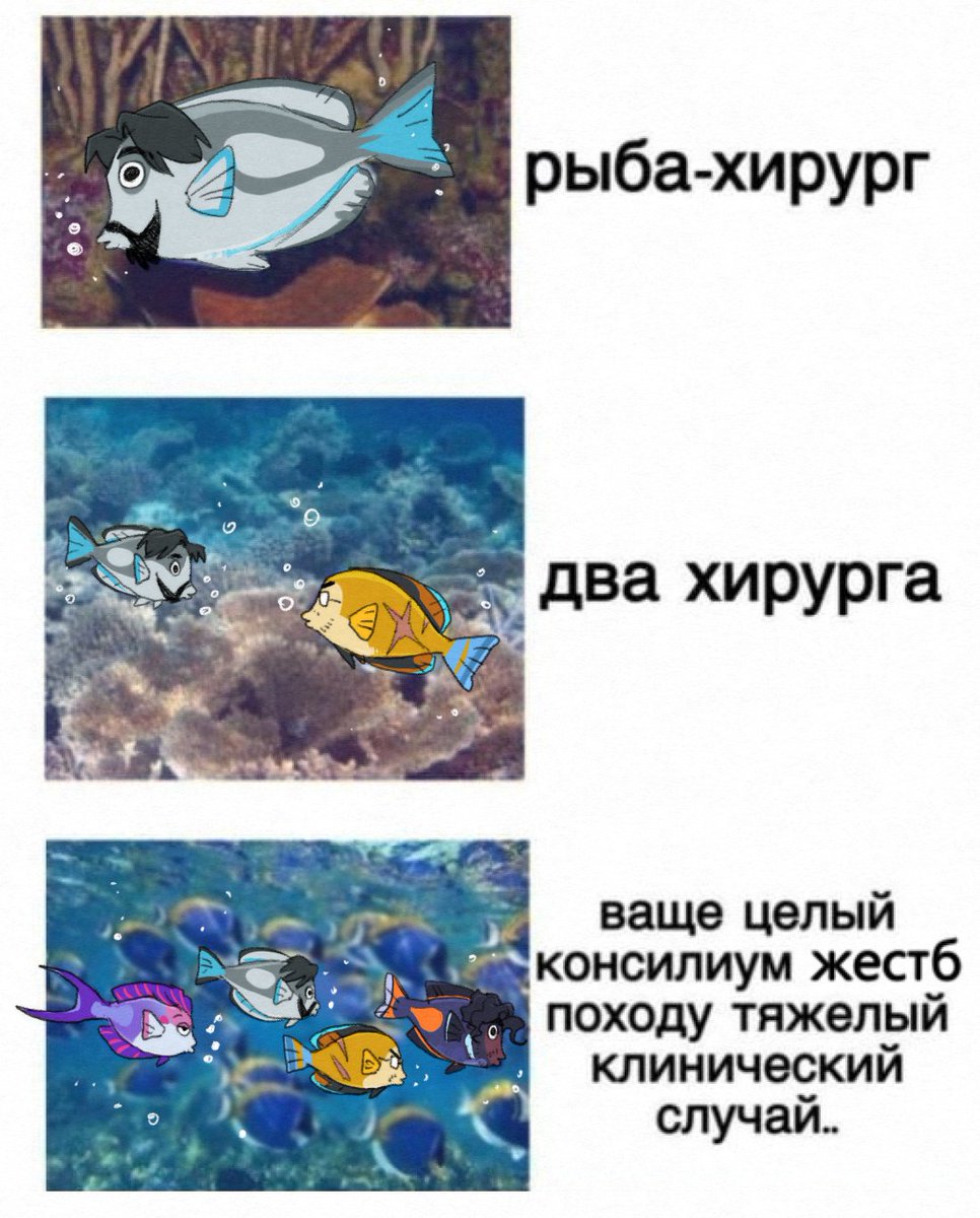 рыбы 🐠

#atomicheart