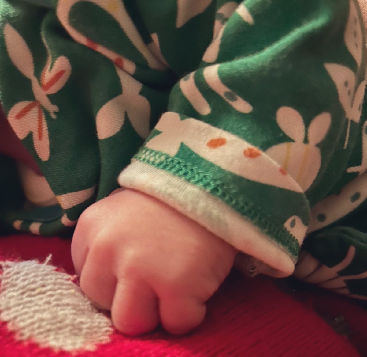 Sarah Crook tweet media