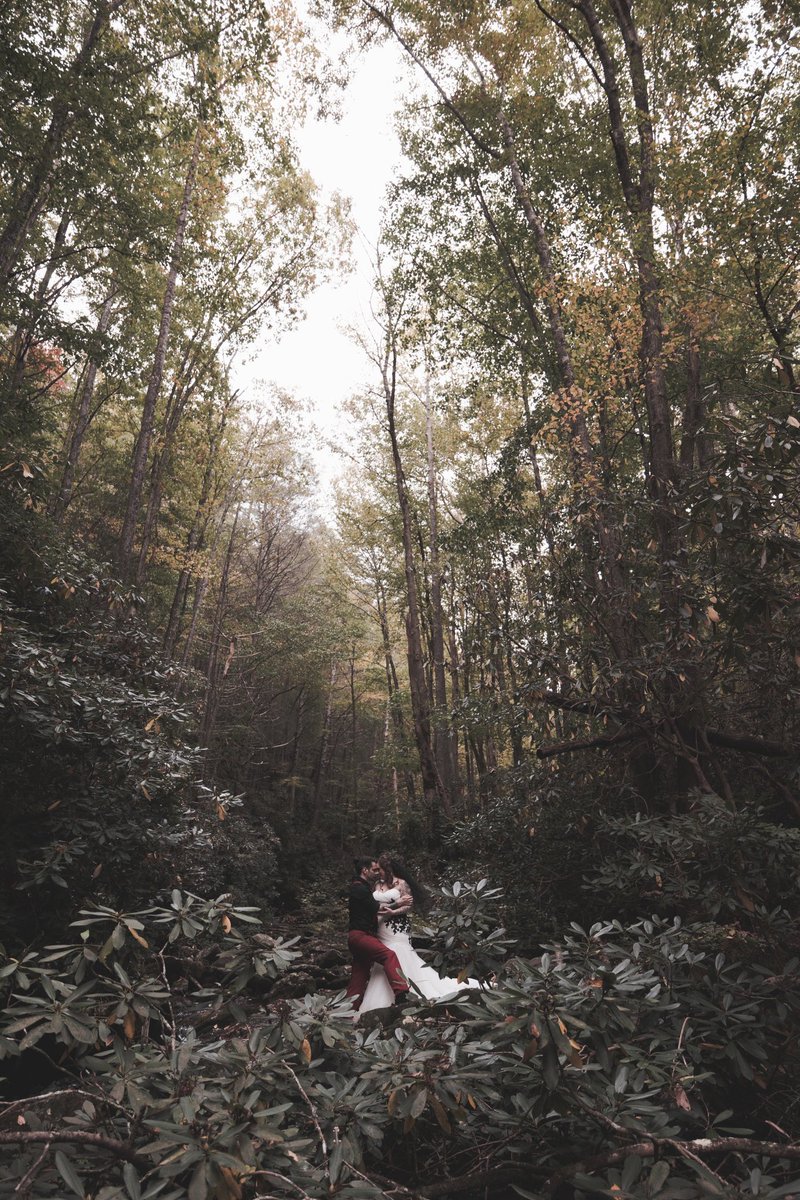 CallMeJeff86's tweet photo. Wedding vibe check ☑️🖤

                 The Camp at Buffalo Mountain

                      #JeffPaynePhotography https://t.co/393PBRekBP