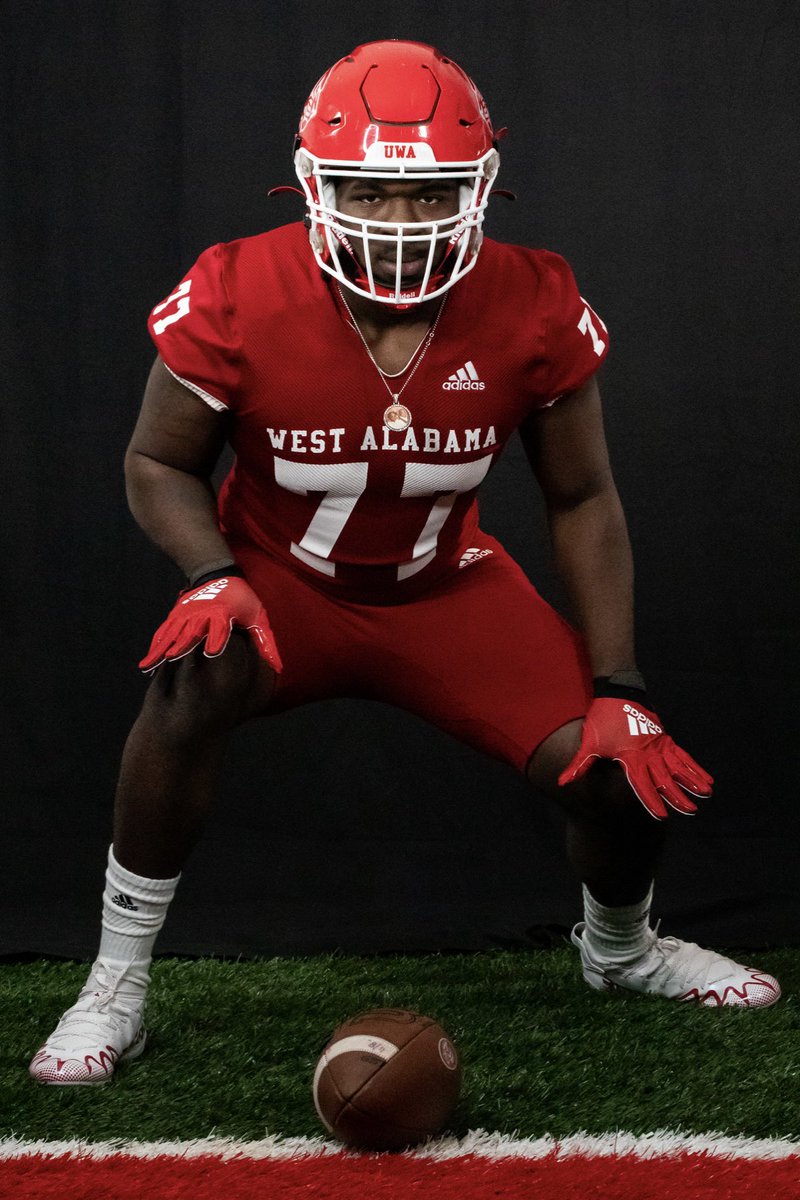 Tylan Sherdon tweet media