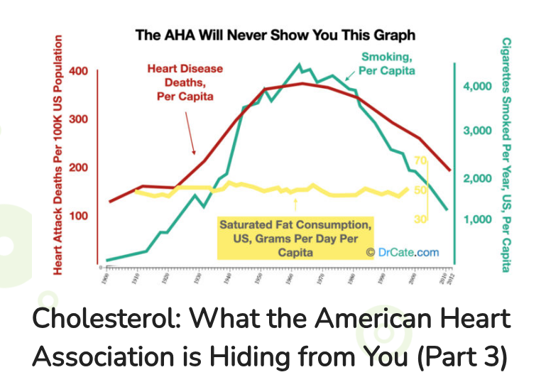 I want to respond to the commenter (to my dec 8 post) who posted a graph showing that cardiovascular deaths have declined since 1960 in men and women. This correlation might make one think that the American Heart Association's campaign to lower cholesterol is the driving factor.…