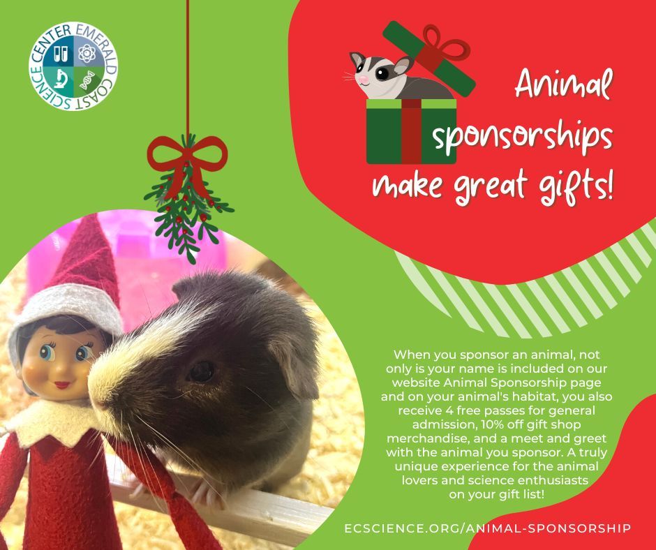 ECScienceCenter's tweet image. Gift an animal sponsorship and sleigh your holiday shopping list with this unique present! 🎁🐾 The best part? A special meet and greet to learn more about the animal you've sponsored. Gift a memorable experience and support an animal all in one at ecscience.org/animal-sponsor…