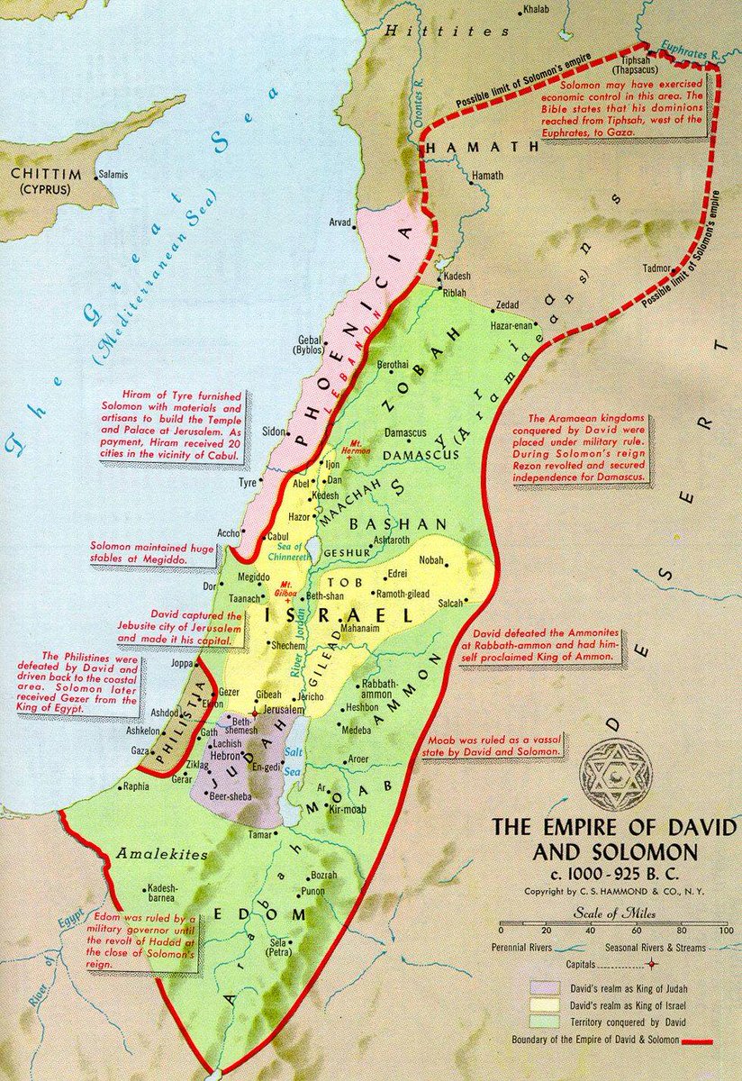 Hananya Naftali tweet media